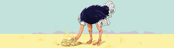 Photo of ostrich head in ground