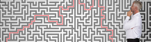 Photo: Man standing in front of maze