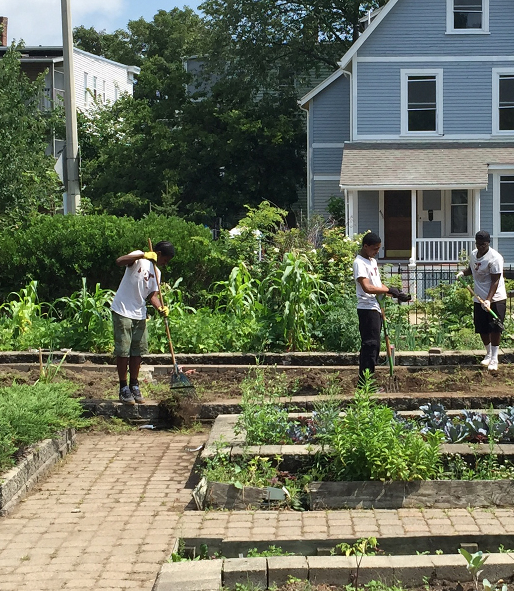 High school students who participated in Boston’s summer jobs program in 2015 work on a public beautification and landscaping project.
