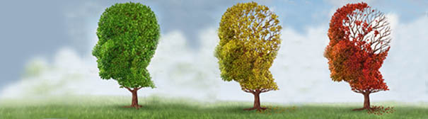 3 trees with gradually less leaves