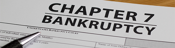 Photo of Chapter 7 form