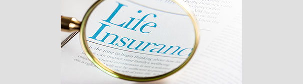 Magnifying glass over the words 'life insurance'